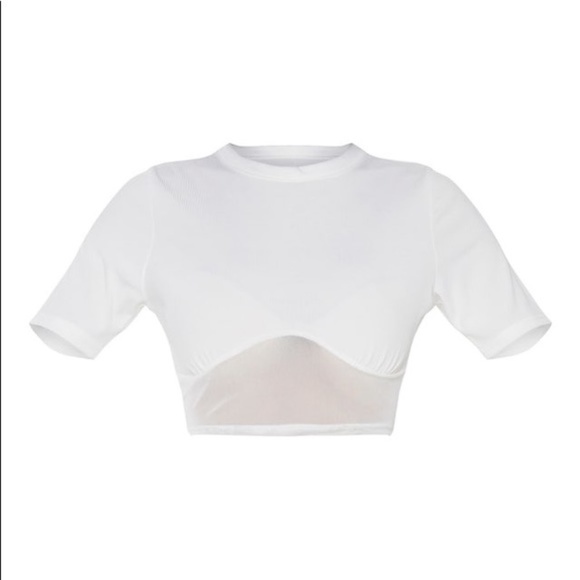 Cream Rib Mesh Underbust Crop Top - Picture 5 of 5